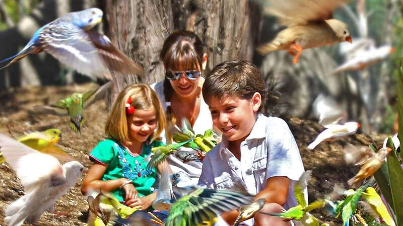 Puebla Africam Safari Park, Live an Unforgettable Adventure! - Comparing Africam Safari to Other Wildlife Tours in Puebla