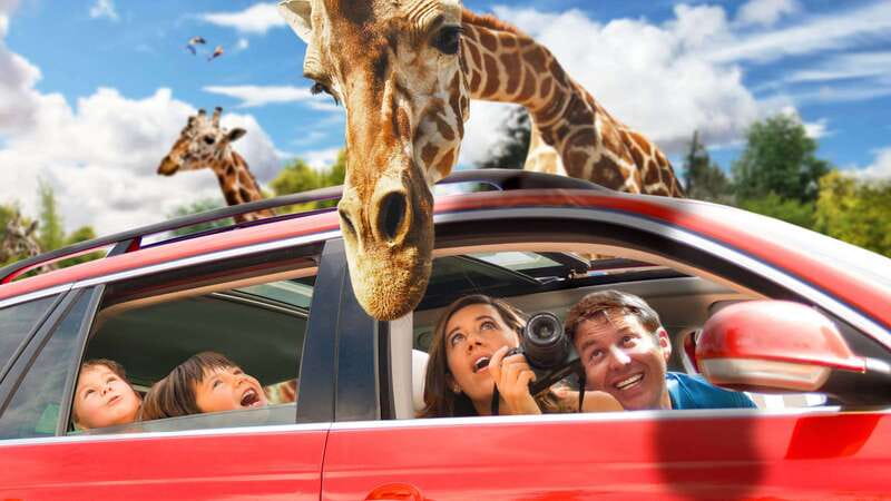 Puebla Africam Safari Park, Live an Unforgettable Adventure! - What Do Visitors Say About the Tour?