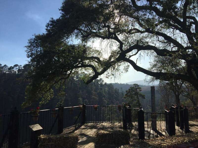 Puebla: Alpinia Mountain and Nature Park - The Giant Hedge Maze: A Fun Challenge