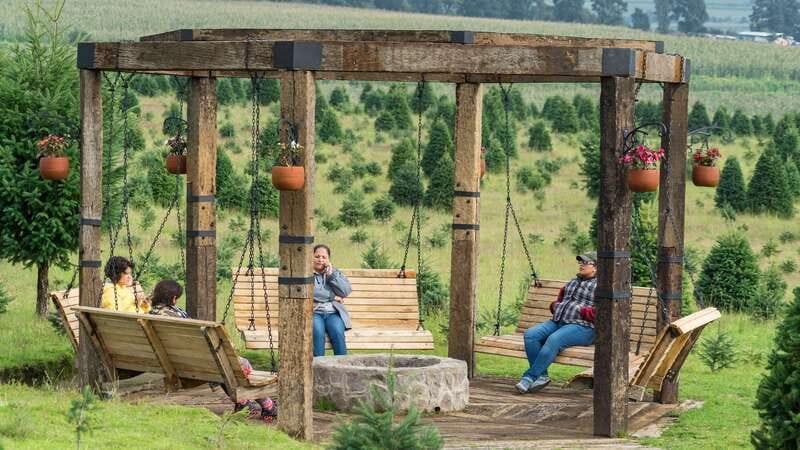 Puebla: Alpinia Mountain and Nature Park - Who Will Enjoy This Day Trip?