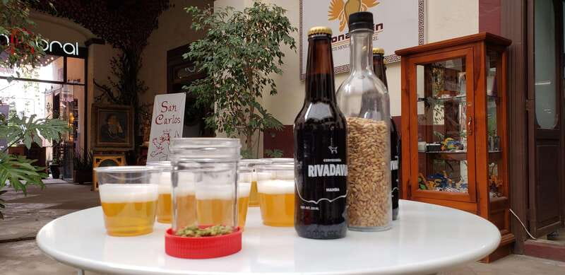 Puebla: Cholula Craft Beer Tour by Tram - Visiting the Craft Beer Factory and Breweries