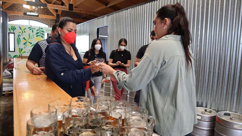 Puebla: Cholula Craft Beer Tour by Tram - Cost, Cancellation, and Booking Flexibility