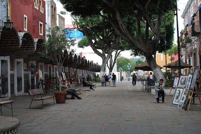 Puebla City Tour & Fireflies Sanctuary from Mexico City - What to Expect During the Firefly Experience