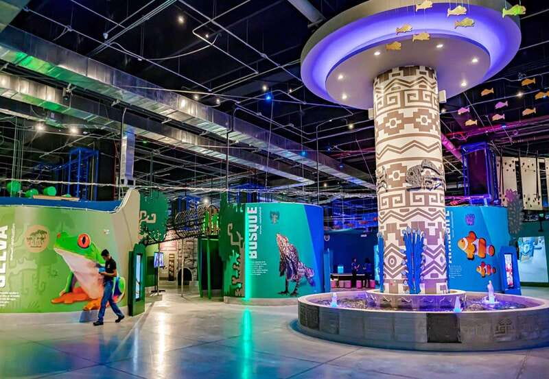 Puebla: Hop-on Hop-off City Tour and Aquarium Michín - Discover Pueblas Highlights on a Hop-on Hop-off Bus Tour for $31