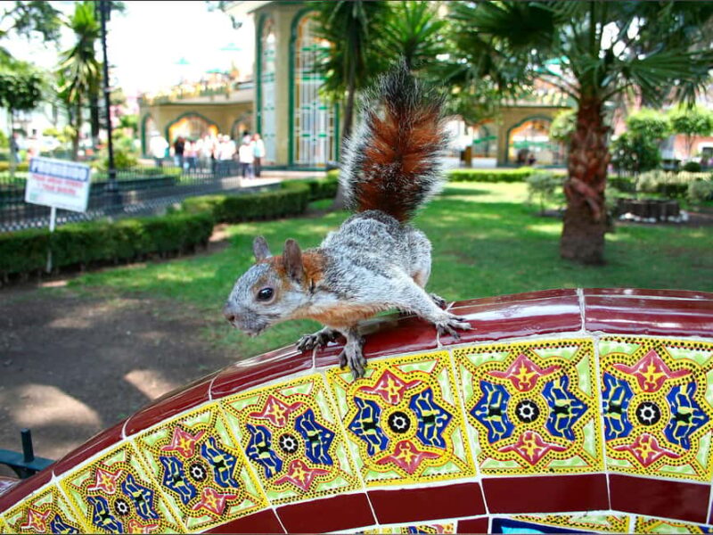 Puebla: Magical Atlixco, Volcano, Unique Garden & Plant Maze - From the Magical Garden to the Labyrinth