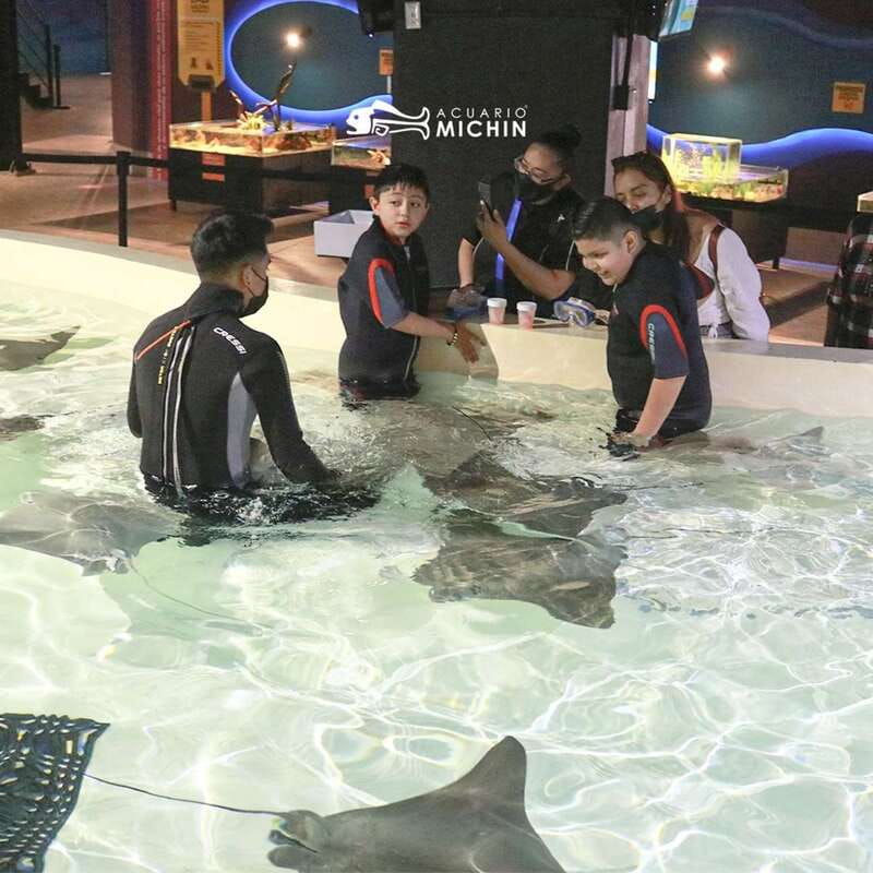 Puebla: Ticket to Aquarium Michin - Exploring the Michin Aquariums: Diverse Pavilions and Marine Species
