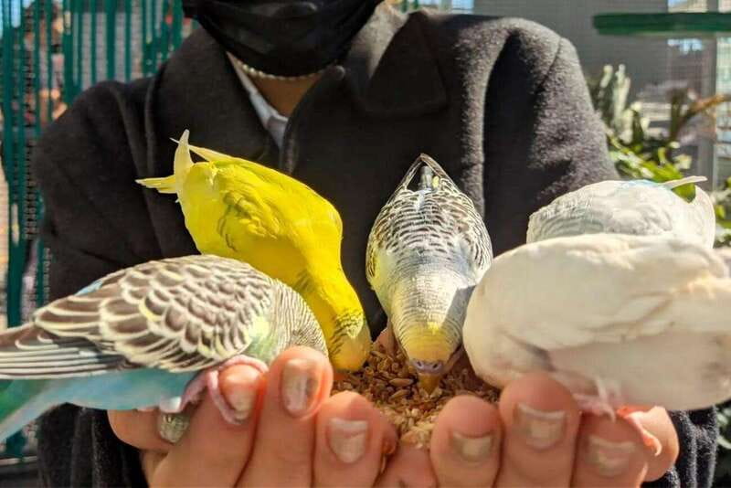 Puebla: Ticket to Aquarium Michin - Practical Details: Meeting Point, Duration, and Accessibility