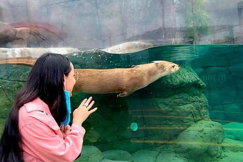 Puebla: Ticket to Aquarium Michin - Pricing and Whats Included