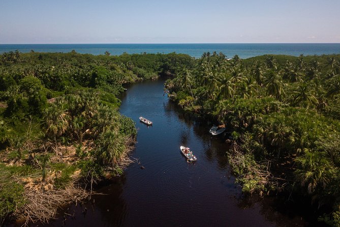 Puerto Angel Exotic Animal Wildlife Experience - Expert Guides and Live Commentary