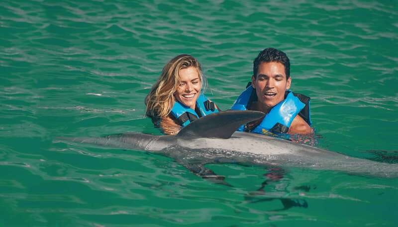Puerto Aventuras: Amazing Dolphin Encounter with Lunch - Highlights of the Puerto Aventuras Dolphin Experience