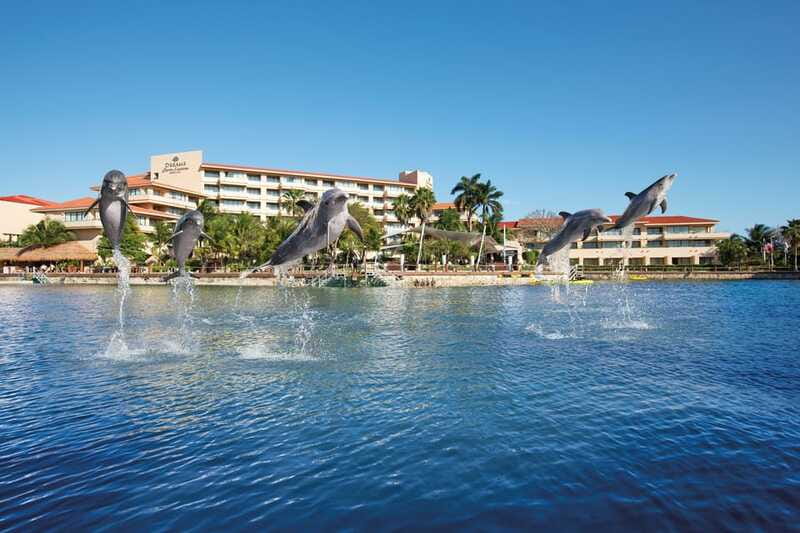 Puerto Aventuras: Amazing Dolphin Encounter with Lunch - Who Will Enjoy This Tour Most?