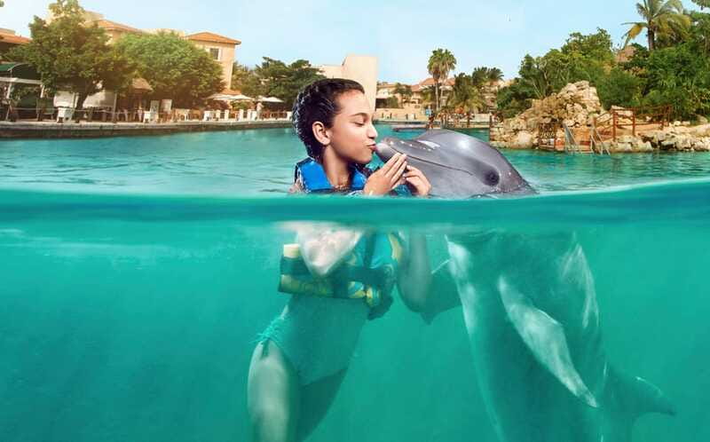 Puerto Aventuras: Dolphin Encounter with Buffet Lunch - Final Thoughts: Is This Tour Right for You?