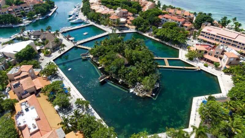 Puerto Aventuras: Dolphin & Manatee Encounter with lunch - Discover the Joy of Marine Encounters in Puerto Aventuras