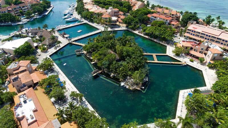 Puerto Aventuras: Dolphin & Manatee Encounter with lunch - Interacting with Dolphins in Shallow Waters of Puerto Aventuras