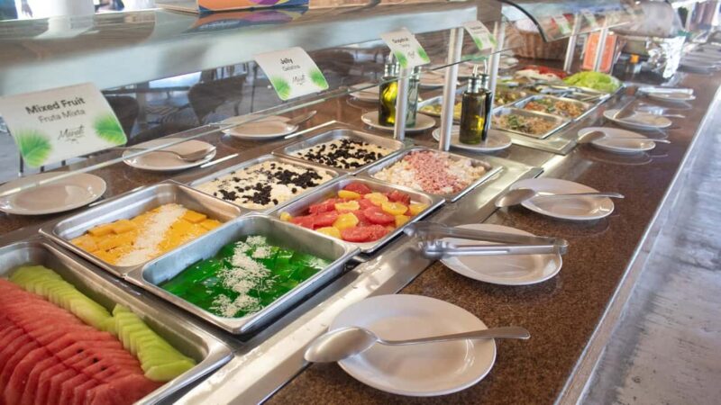 Puerto Aventuras: Dolphin & Manatee Encounter with lunch - Important Safety and Participation Guidelines