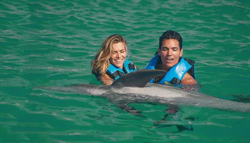 Puerto Aventuras: Dolphin & Manatee Encounter with lunch - Why This Tour Appeals to Families and First-Time Visitors