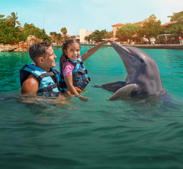 Puerto Aventuras: Dolphin & Manatee Encounter with lunch - Final Thoughts on the Dolphin & Manatee Encounter with Lunch in Puerto Aventuras