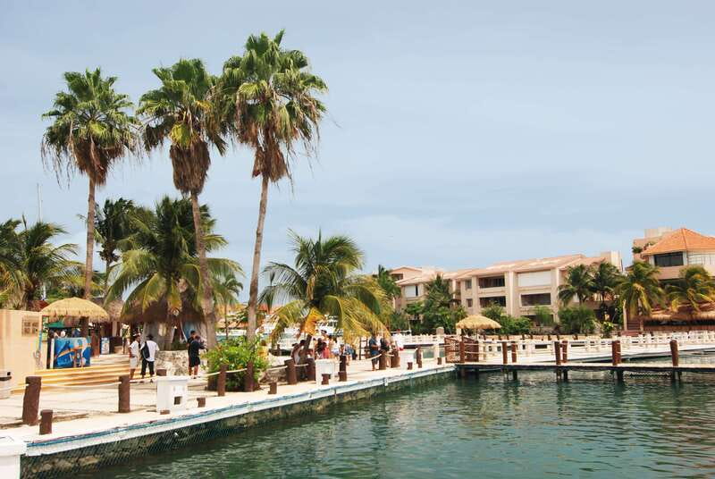 Puerto Aventuras: Manatee Encounter - The Buffet Lunch and Marina Facilities