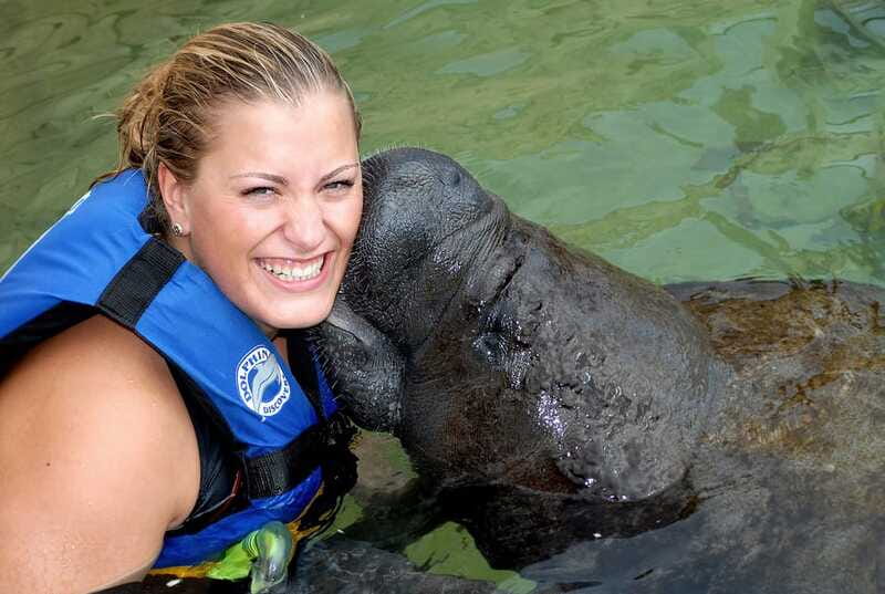 Puerto Aventuras: Manatee Encounter - Practical Information: Timing, Age, and What to Bring