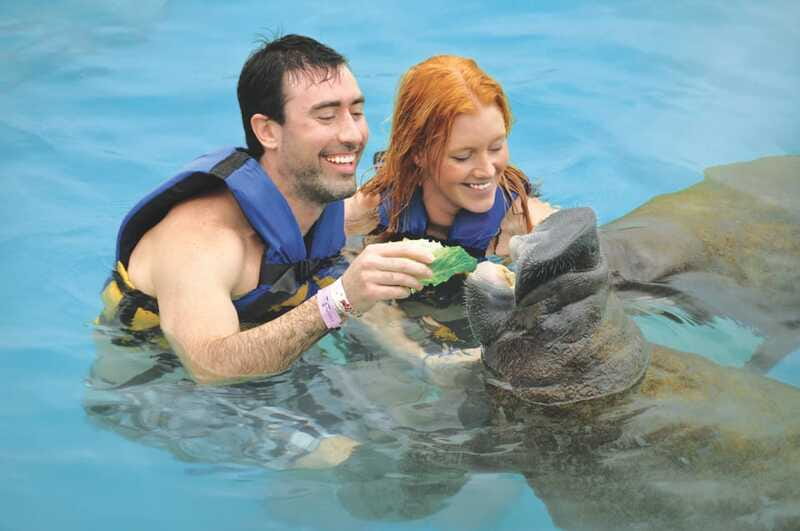 Puerto Aventuras: Manatee Encounter - Who Will Enjoy This Tour Most