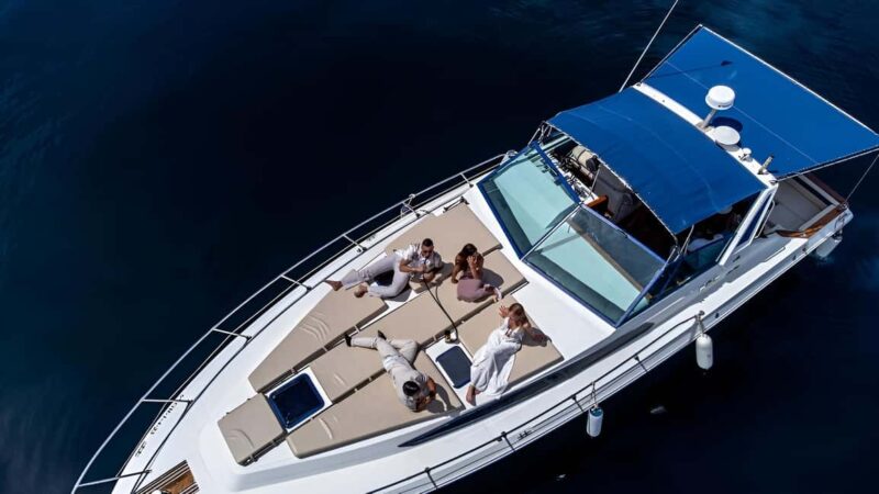 PUERTO BANUS: YACHTS RENTAL FOR GROUP 1H - Dolphin Watching in the Mediterranean: Spotting Marine Life in Their Natural Habitat
