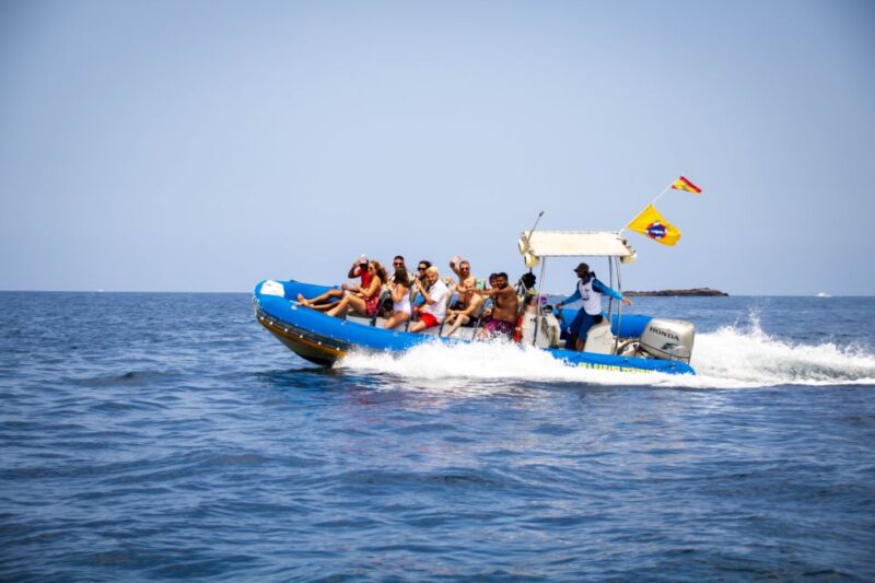 Puerto Colon: Dolphin and Whale Watching Speedboat Cruise - Marine Life Encounters and Snorkeling Opportunities
