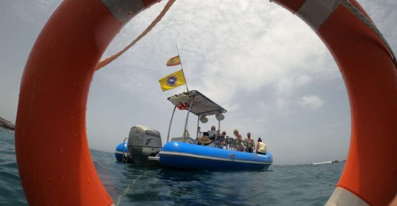 Puerto Colon: Dolphin and Whale Watching Speedboat Tour - Spotting Dolphins, Whales, and Turtles in the Open Sea