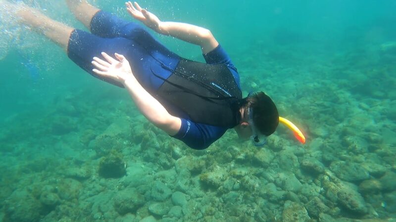 Puerto Colon: Snorkeling boat guided tour - The itinerary: from Puerto Colón to Los Cristianos and back