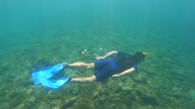 Puerto Colon: Snorkeling boat guided tour - Logistics: meeting point, group size, and booking flexibility