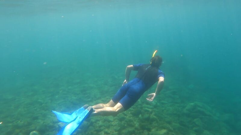 Puerto Colon: Snorkeling boat guided tour - Suitability for different travelers