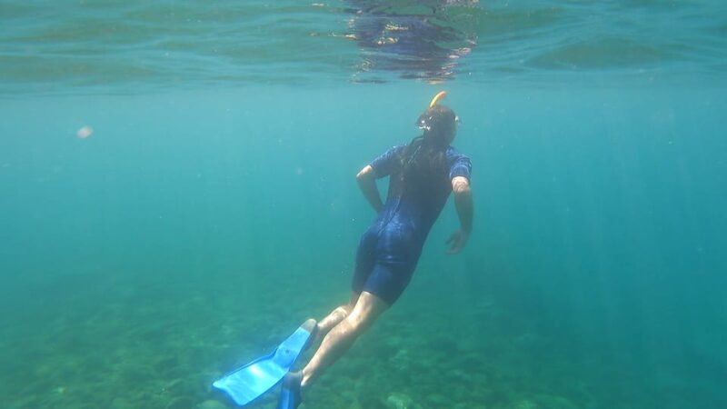 Puerto Colon: Snorkeling boat guided tour - How this snorkeling tour compares to similar experiences