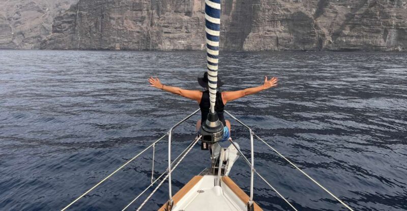 Puerto Colon : Whale & Dolphins Sailing Excursion - Navigating Tenerife’s Marine Habitat: Route and Highlights