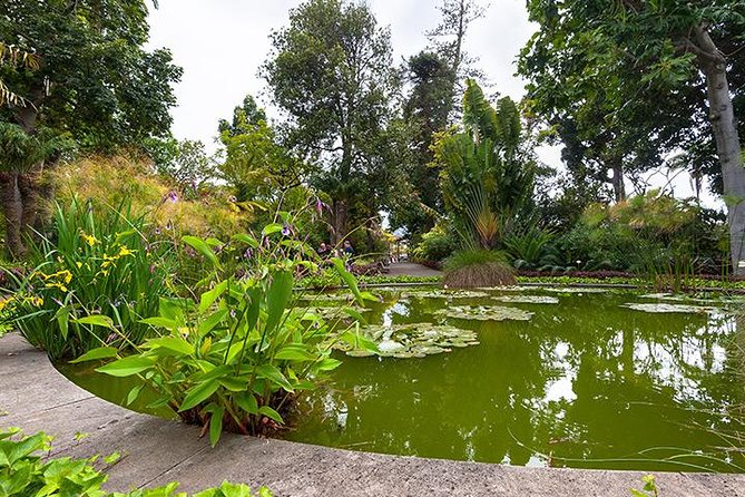 Puerto de la Cruz City Tour with Transfers - Additional Stops and Repeated Visits to Lago Martianez