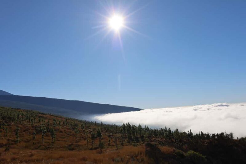 Puerto de la Cruz: Quad Teide National Park - Exploring the Surreal Lunar Landscape
