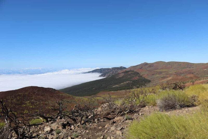 Puerto de la Cruz: Quad Teide National Park - Logistics and Group Experience