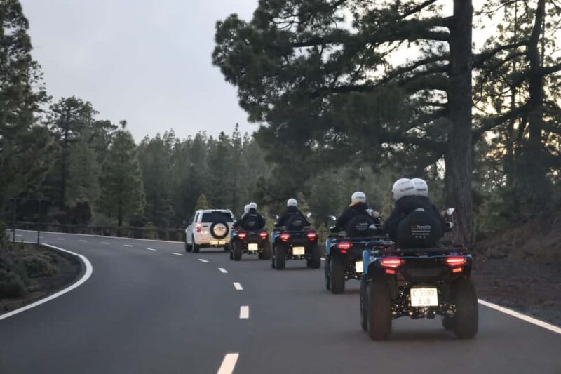 Puerto de la Cruz: Quad Teide Sunset National Park - Exploring the Unique Flora and Fauna of Teide