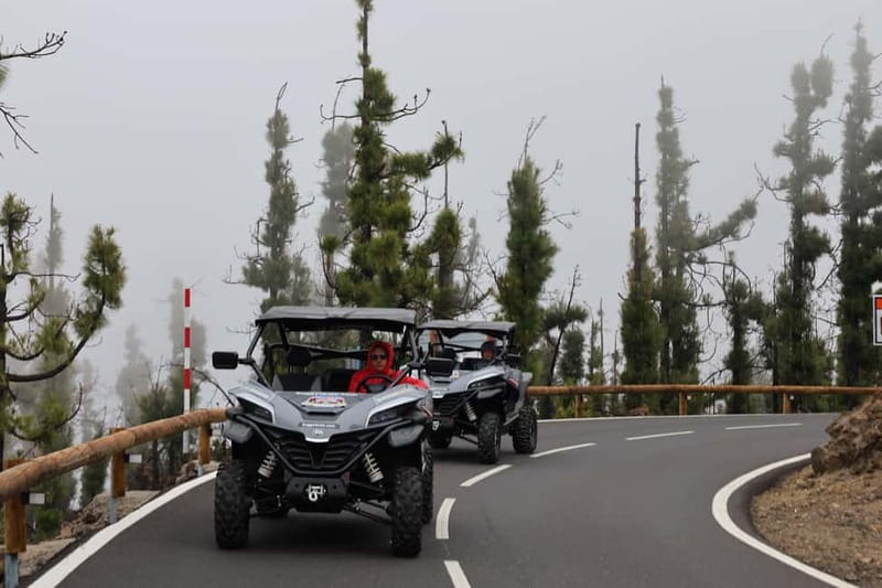 Puerto de la Cruz: Teide National Park Buggy Tour - A Relaxing Break at Ramon Caminero