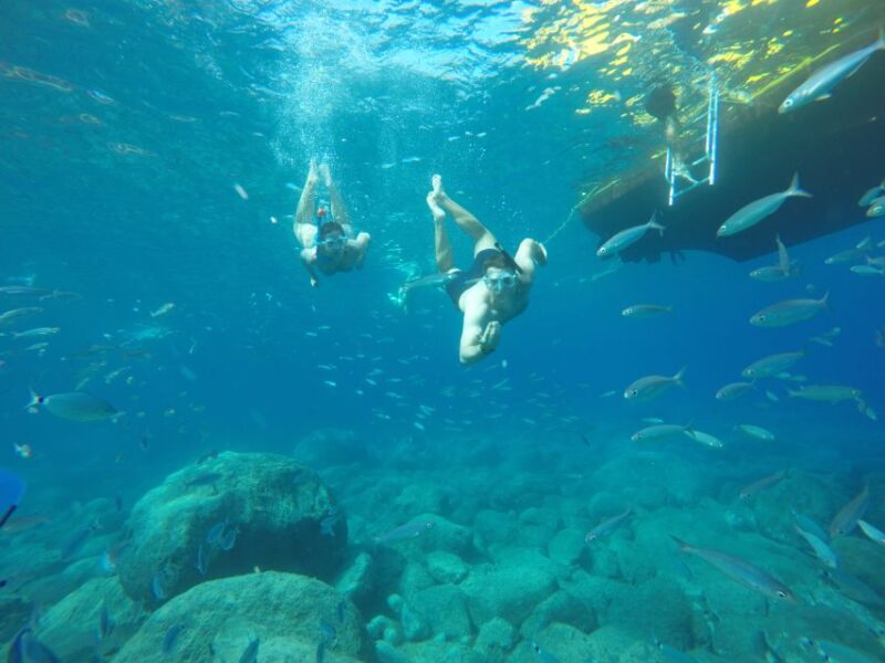 Puerto de Mogan: Boat and Snorkeling Trip - Snorkeling at El Perchel: Discovering Marine Life in Secret Coves