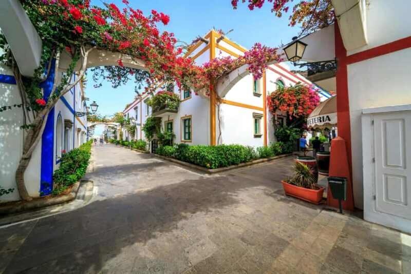 Puerto de Mogan Boat Trip with local expert escort - The Sum Up: A Relaxed and Scenic Day in Puerto de Mogan