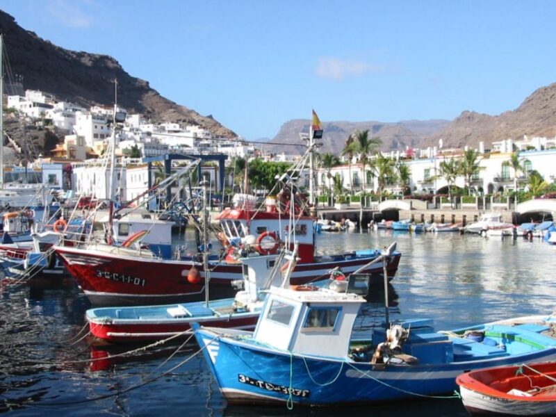 Puerto de Mogan: Friday Market Experience - Honest Assessment: Strengths and Limitations