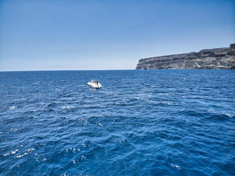Puerto de Mogán: Private yacht for up to 9 people, 1 hour - Onboard Dining: Delicious Meal in the Middle of the Sea