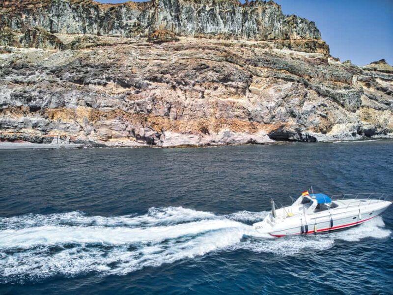 Puerto de Mogán: Private yacht for up to 9 people, 1 hour - Logistics and Group Size: Easy Access and Flexibility