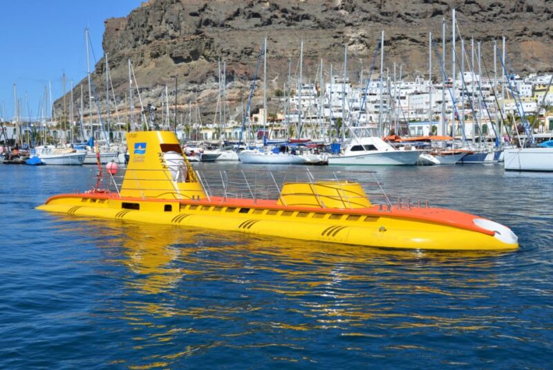 Puerto de Mogán: Submarine Tour - What the 40-Minute Underwater Journey Entails