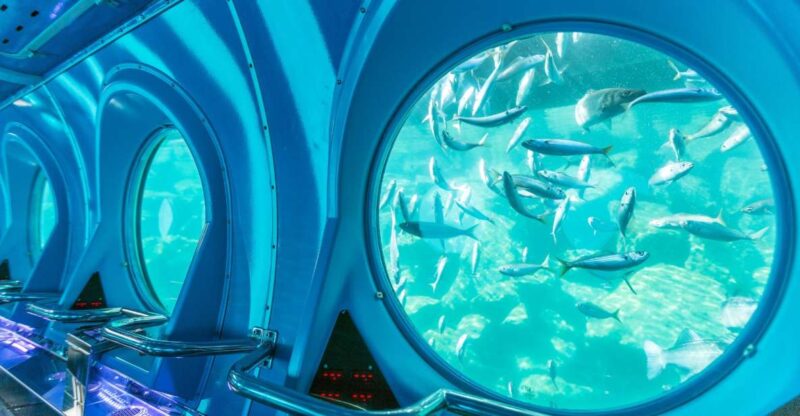 Puerto de Mogán: Submarine Tour - Accessibility and Limitations