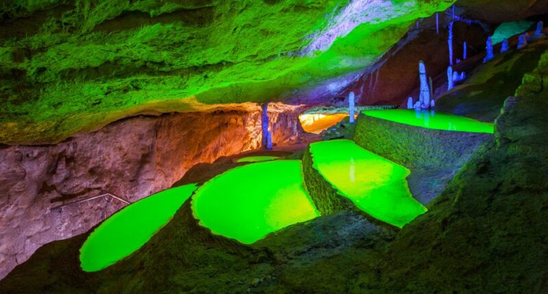 Puerto de San Miguel: Can Marçá Cave Guided Tour with Entry - Comparing to Similar Experiences