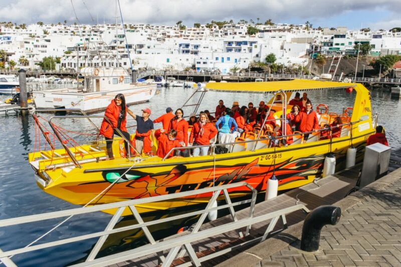 Puerto del Carmen: Dolphin-Watching Speedboat Tour with Swim - Key Points