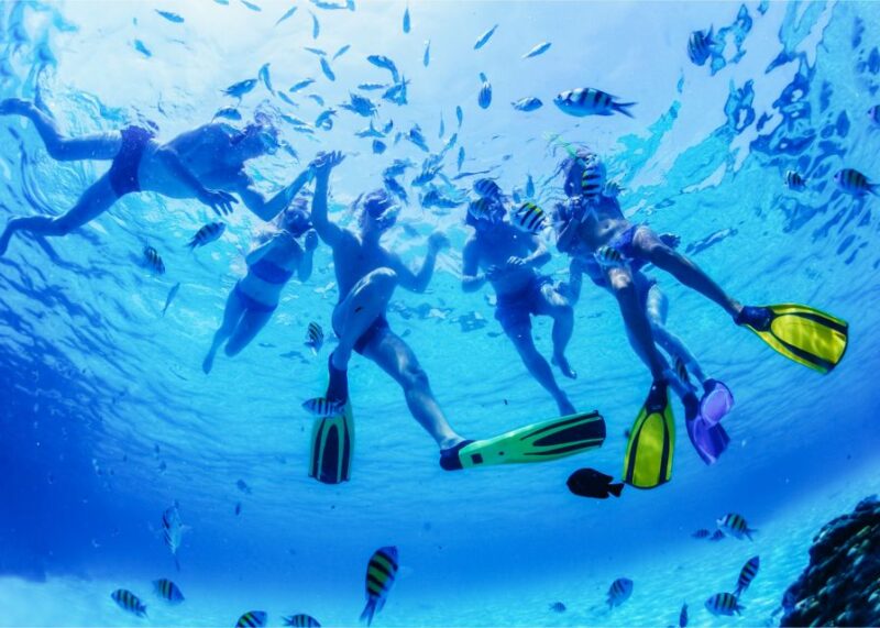 Puerto del Carmen: Dolphin-Watching Speedboat Tour with Swim - Opportunities to Swim in the Atlantic Ocean