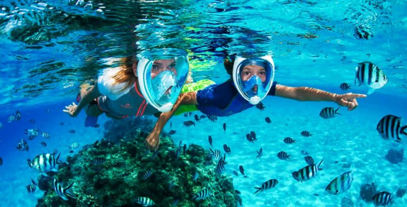 Puerto del Carmen: Dolphin-Watching Speedboat Tour with Swim - Wild Animal Encounters and the Element of Chance