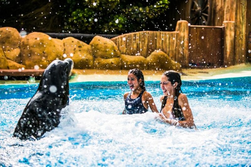 Puerto del Carmen: Rancho Texas Lanzarote Park Entry Ticket - Animal Shows and Demonstrations That Delight