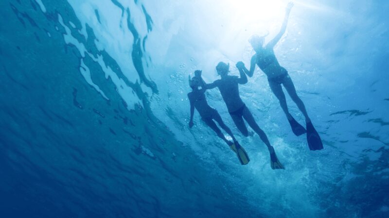 Puerto del Carmen: Snokel tour with an instructor - Discover the Crystal Waters of Puerto del Carmen on a Snorkeling Tour with Instructors